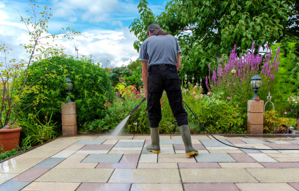 Best Fence Cleaning  in Rlborough, MA